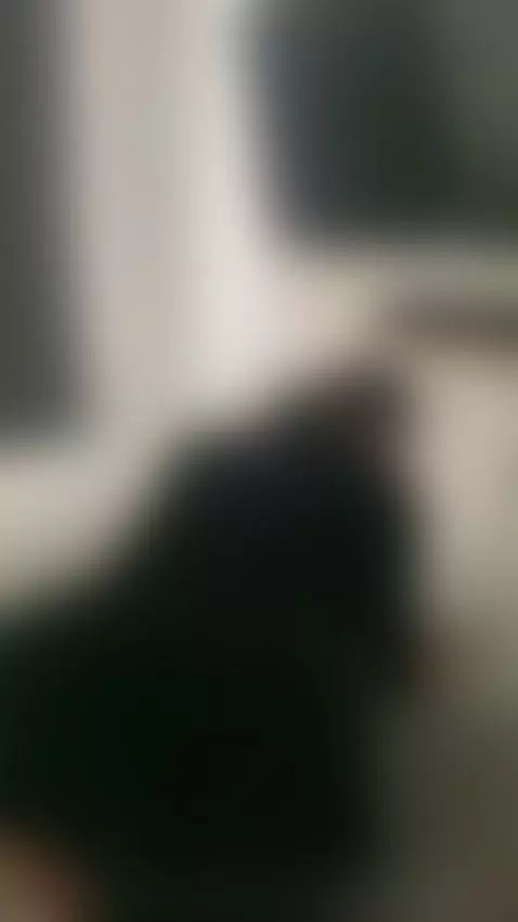 can I move my ass on you?🍑 by elisacolevanss