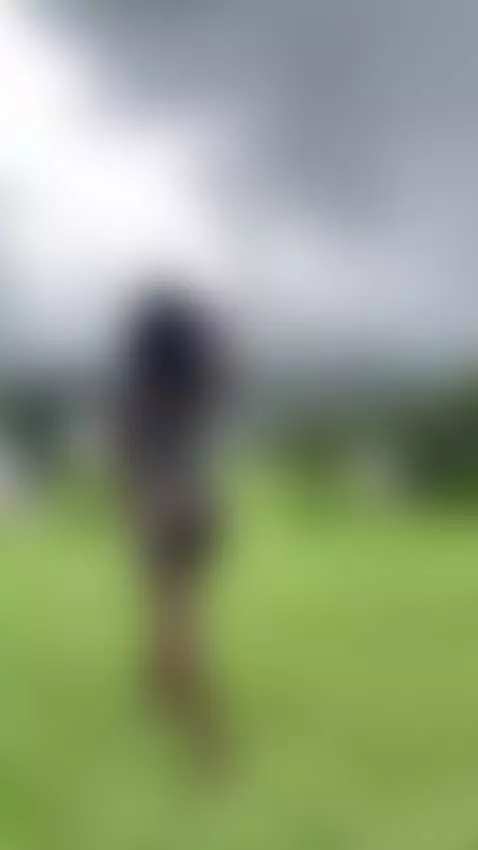 Do you accompany me? by anniecaster