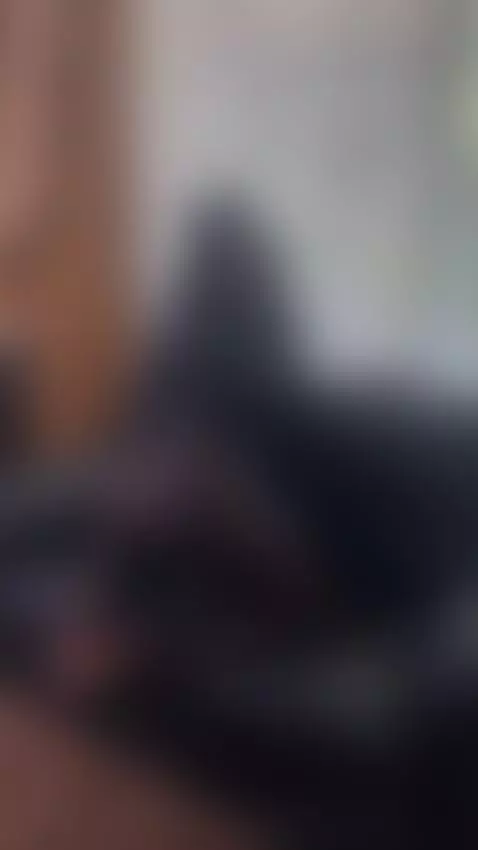 You are ready to comply with the law by anniecaster