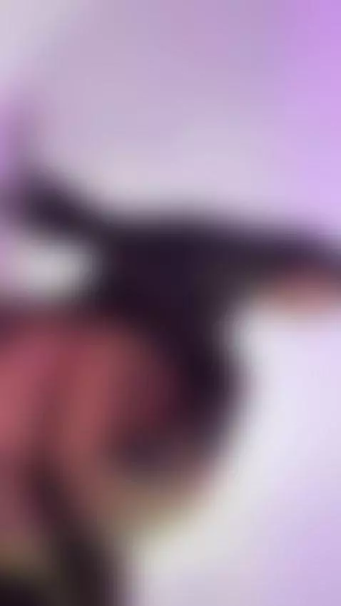Video by samantakane