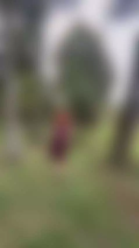 UPS! by rubyspectrum