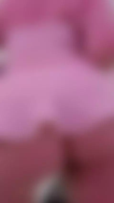 twerk in your face ?

live,link in my bio ❣️ by emmywalker