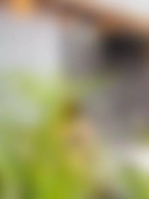 I'm elegance dipped in mischief — champagne in a silk glass by scarletmore