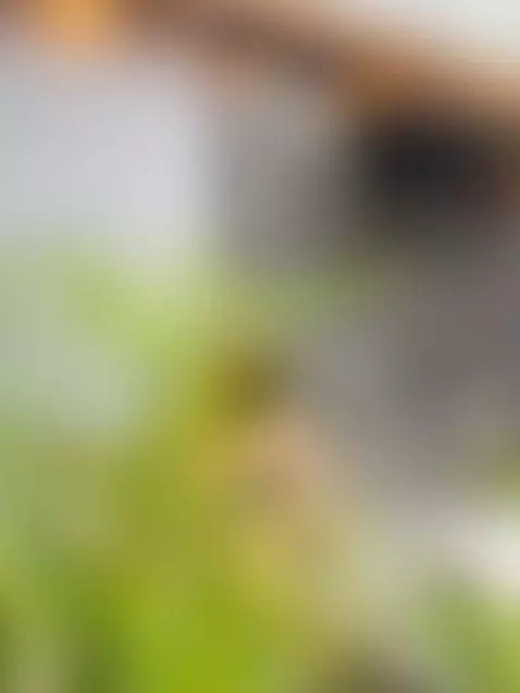 A soft laugh, a slow pose, and curves that don’t need permis... by scarletmore