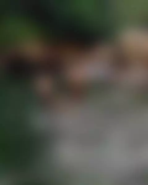 Let's go swimming?🏞️ by emilysarai