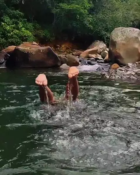 Let's go swimming?🏞️ by emilysarai