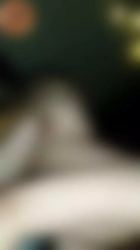 Burmese Blow Job by fridayxxx