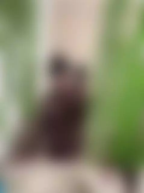 sukisaori.cammodels.com | hellooo im online in that link u c... by sukisaori