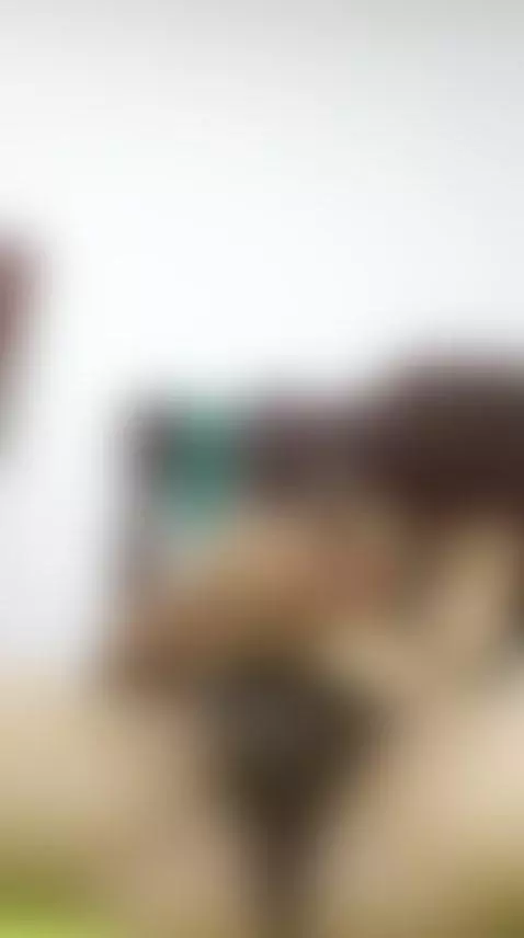 alguna que se atreva a subirse aca?? 😝😝 by sultan20cm