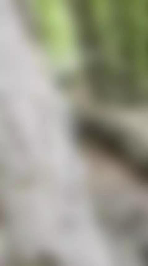 I think someone's watching me. 😈 by alkh1mova