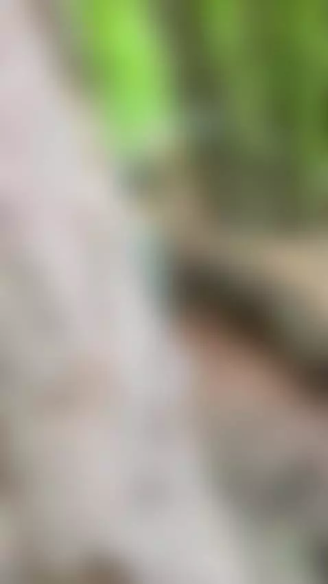 I think someone's watching me. 😈 by alkh1mova