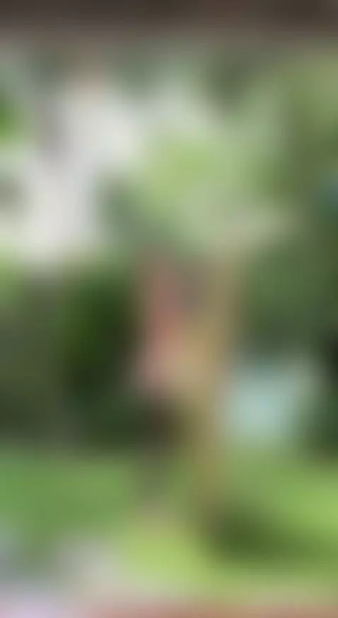 Find Me here  ☘️💋

https://ton.place/dianapeach

https://fan... by emanuela93