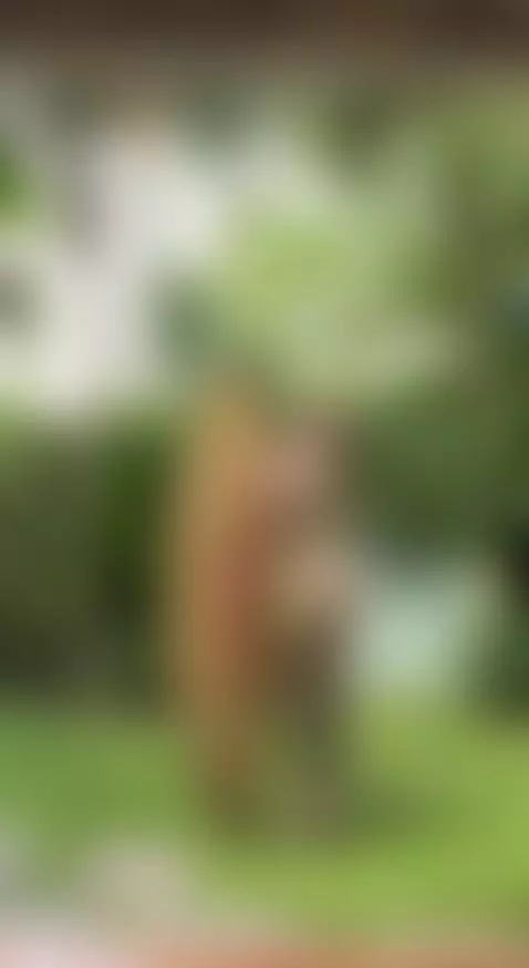 Find Me here  ☘️💋

https://ton.place/dianapeach

https://fan... by emanuela93