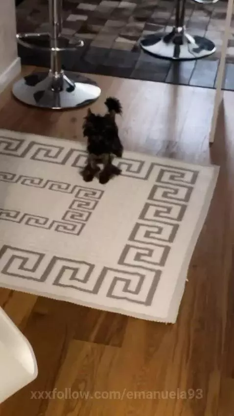 Find Me here  ☘️💋

https://ton.place/emmaflour

https://fans... by emanuela93