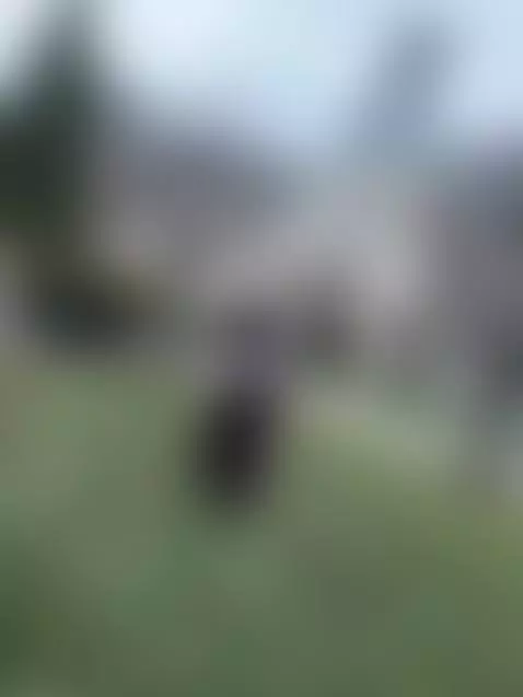 Find Me here  ☘️💋

https://ton.place/emmaflour

https://fans... by emanuela93