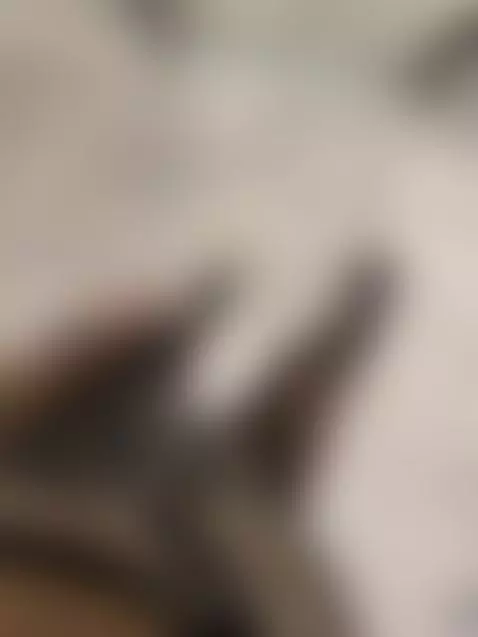 Find Me here ☘️💋

https://ton.place/emmaflour

https://fans.... by emanuela93