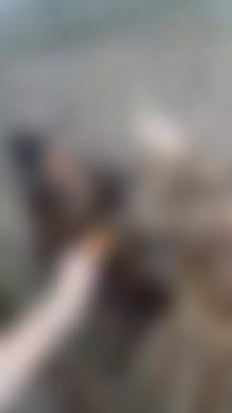 Find Me here  ☘️💋

https://ton.place/lionessli by emanuela93