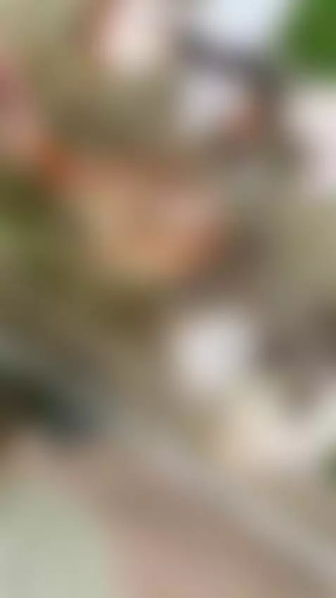 Find Me here  ☘️💋

https://ton.place/lionessli

https://4bas... by emanuela93