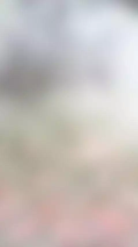 Find Me here  ☘️💋

https://ton.place/lionessli

https://4bas... by emanuela93