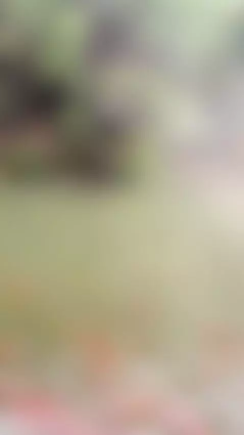 Find Me here  ☘️💋

https://ton.place/lionessli

https://4bas... by emanuela93