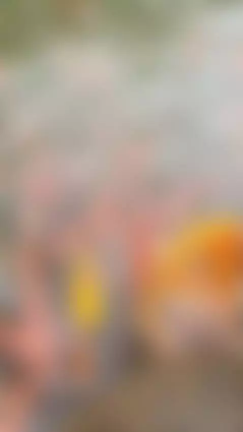 Find Me here  ☘️💋

https://ton.place/lionessli

https://4bas... by emanuela93