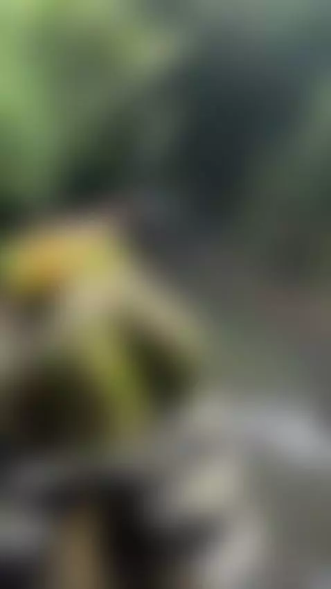 Find Me here  ☘️💋

https://ton.place/lionessli

https://4bas... by emanuela93