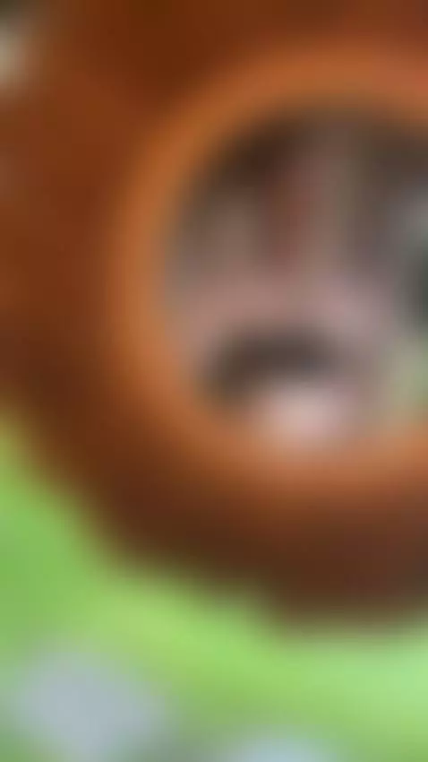 Find Me here  ☘️💋

https://ton.place/lionessli

https://4bas... by emanuela93