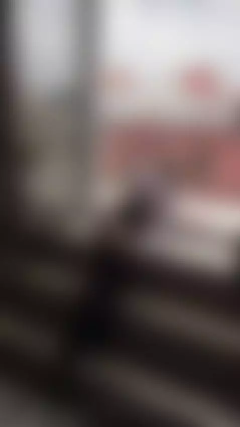 Find Me here  ☘️💋

https://ton.place/lucyluna

https://4base... by emanuela93