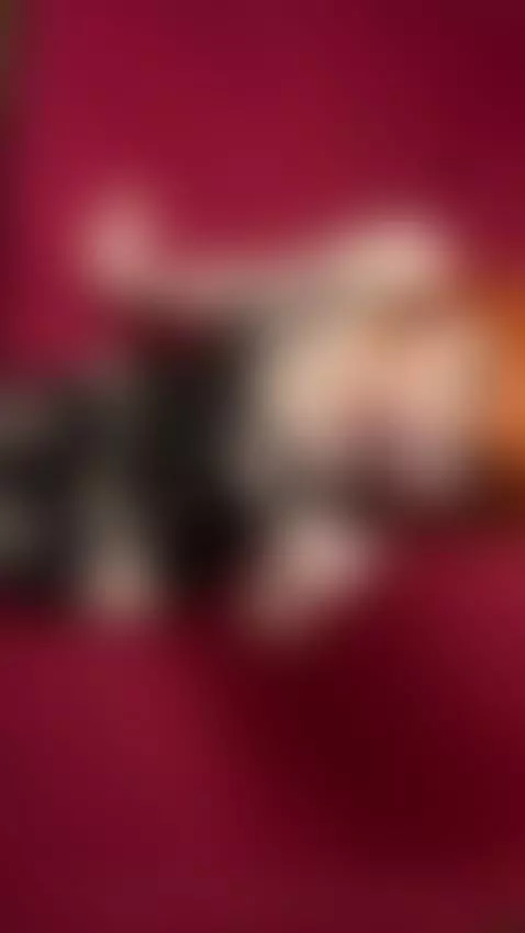 Find Me here  ☘️💋

https://ton.place/lucyluna

https://4base... by emanuela93