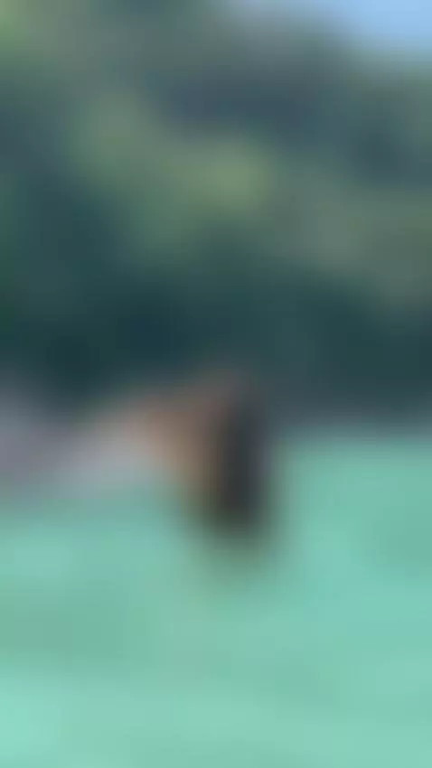 Find Me here  ☘️💋

https://ton.place/alissiabounty

https://... by emanuela93