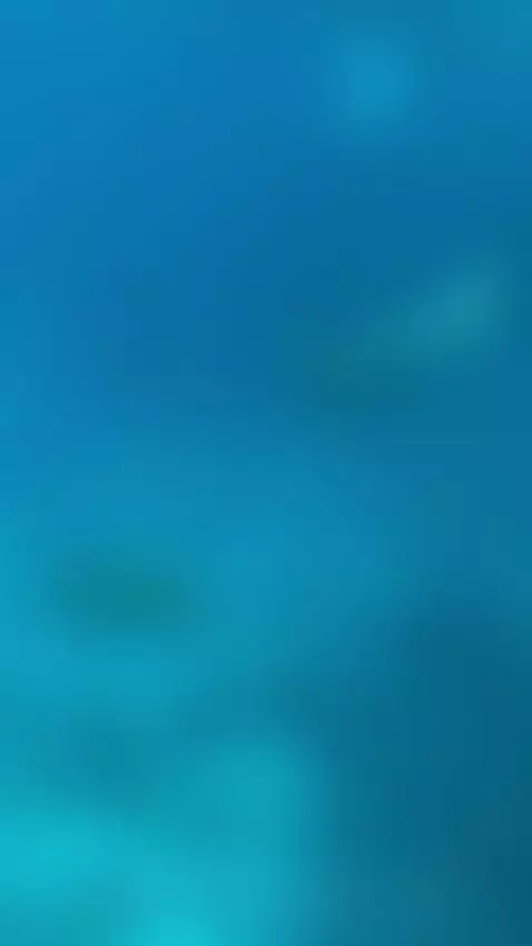 Find Me here  ☘️💋

https://ton.place/alissiabounty

https://... by emanuela93