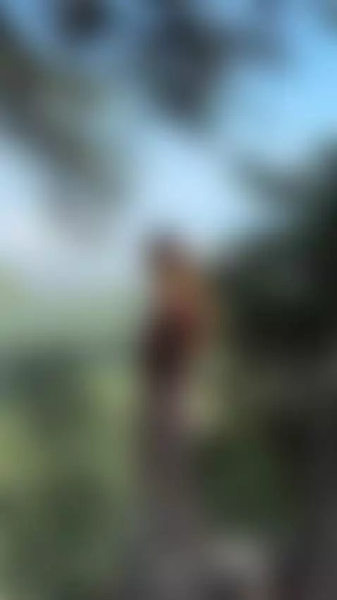 Find Me here  ☘️💋

https://ton.place/alissiabounty

https://... by emanuela93