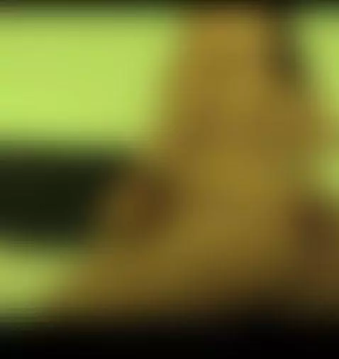 A sexy dance to start the day. by yessikabaker1