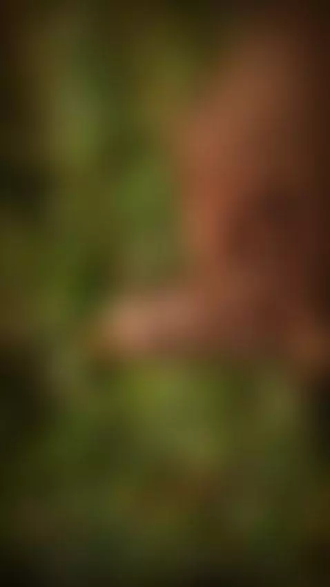 jerking in nature by swagyboy60