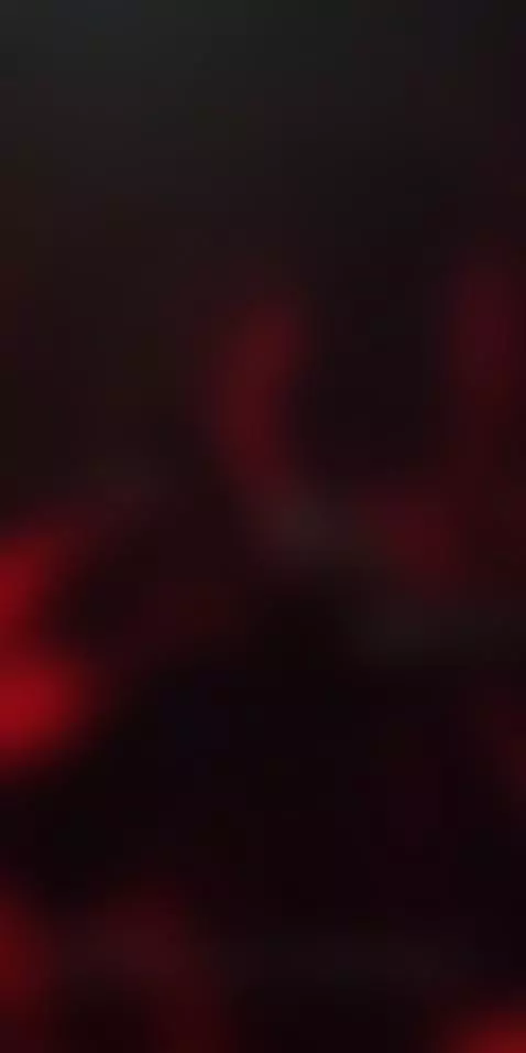 red light district dance by treylongzxxx