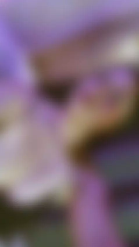 hey dear by vela-kimm