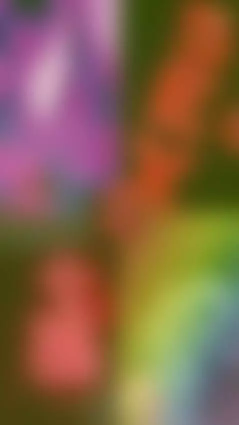 culonatetonanalgona, viral, oral by van3za