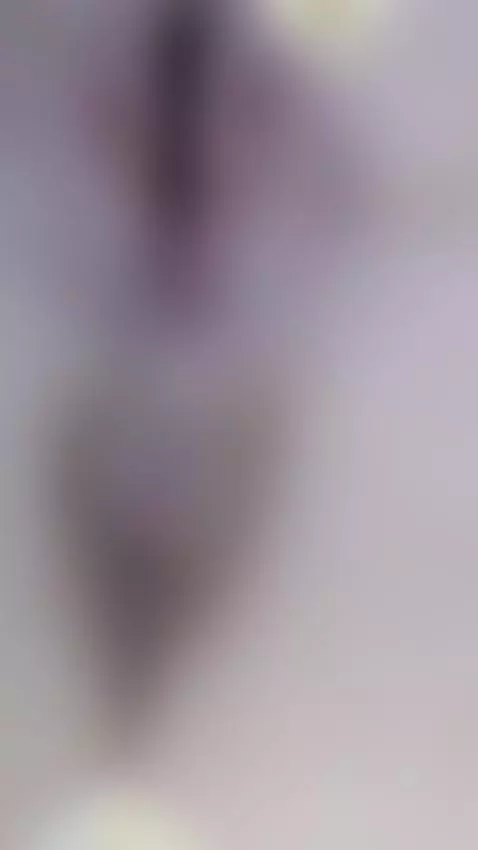 Pov: What do you see when I'm wet by nitosha
