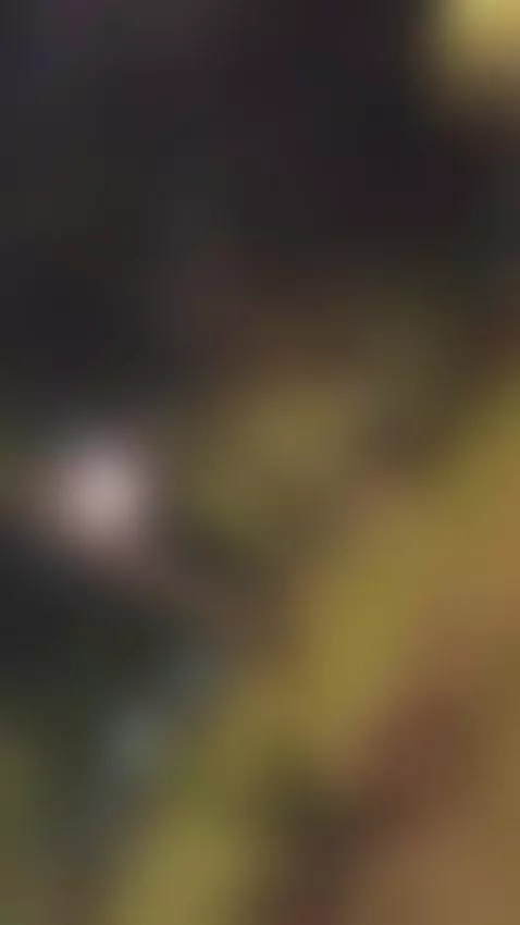 🔥🔥mamada by nicolhotx