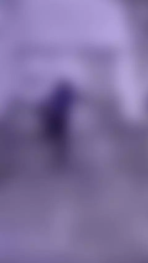 READ TO THE END AND FIND OUT EVERYTHING... by gretavelvet