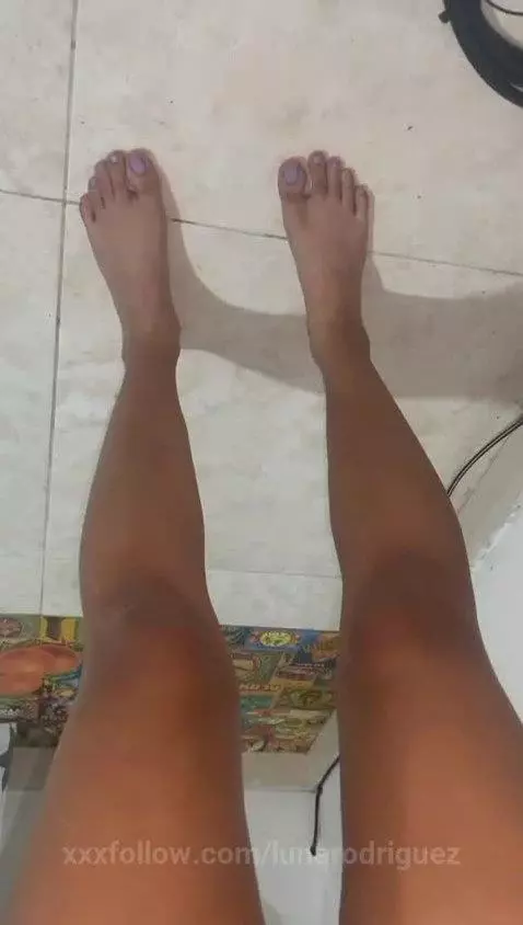 rico camello by lunarodriguez