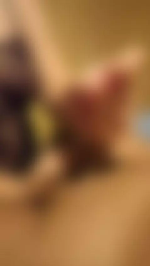 ¡Que ricooooooo! 🤤💦 by sammic