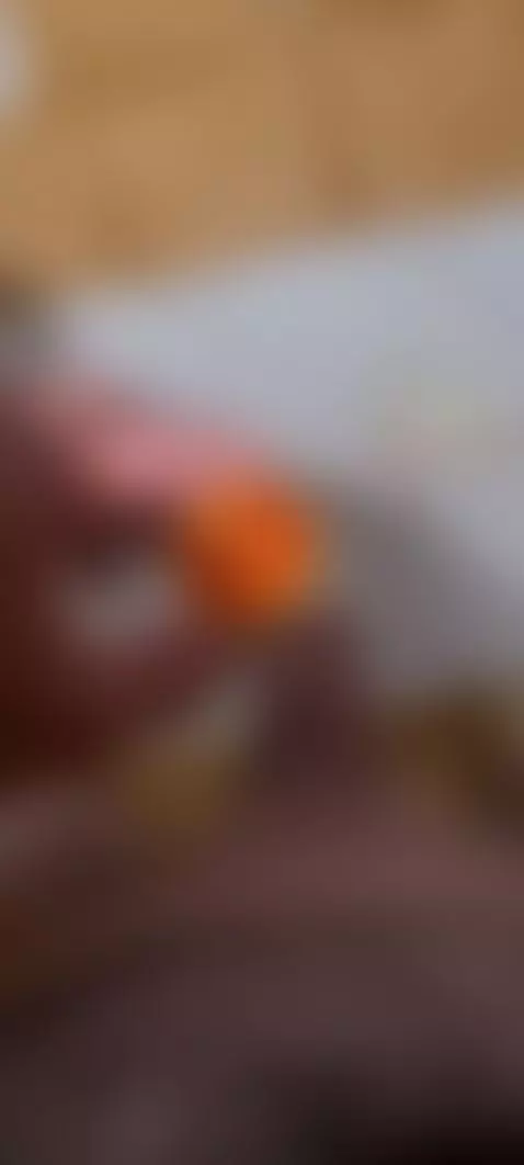 Video by dragonero