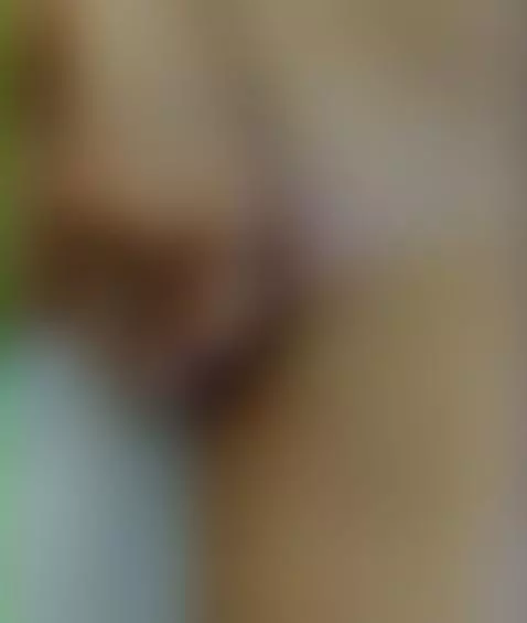 Playtime by zepkitty