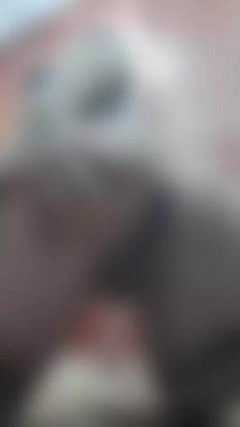 Sensual and lustful, I want you to fuck me and fill me with ... by tefannyarias