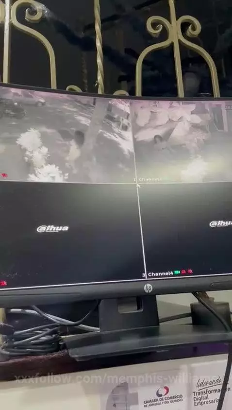 The security camera records this tough moment! 🔥 by memphis-williams