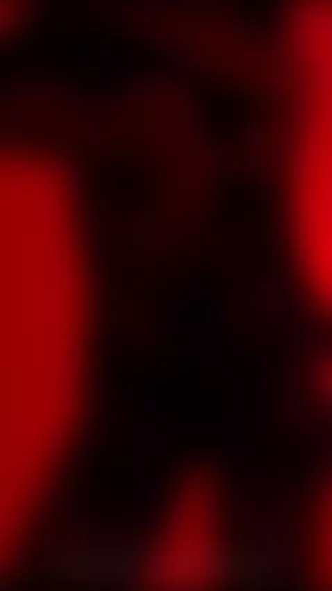 Sometimes Shadows can be really entertaining by gretchenn