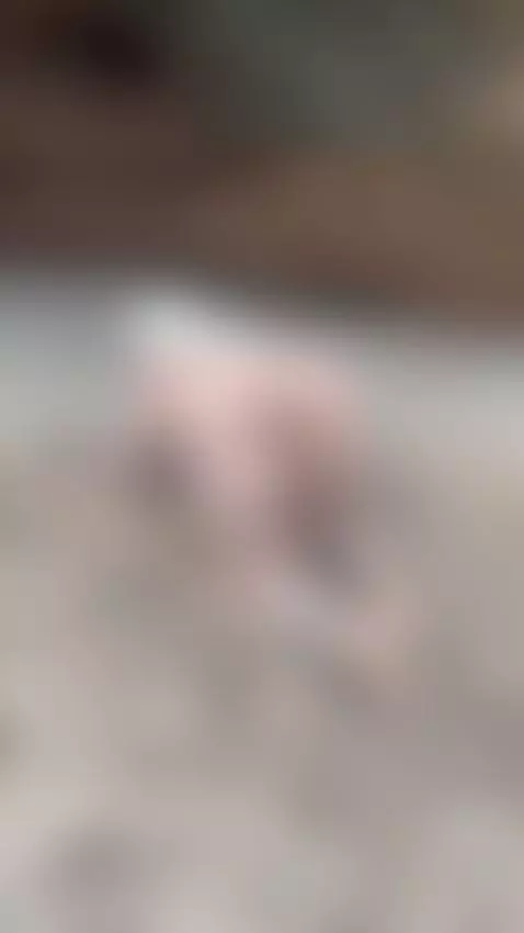 The best decision you’ll make today by domiranoire