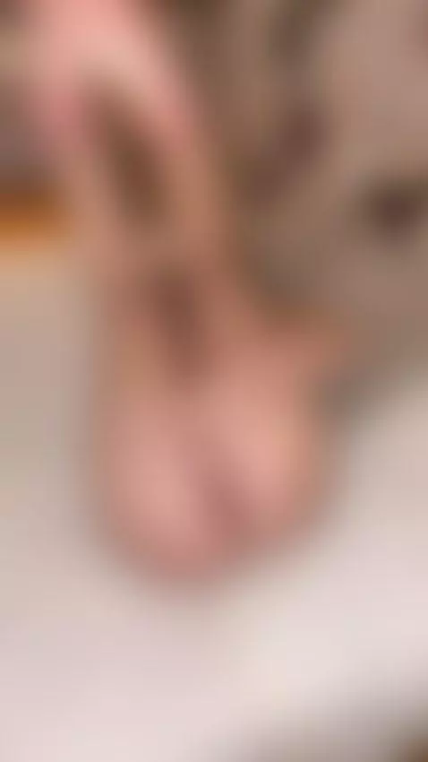 ass, pussy, xsmallgirls by krisyourgirlfriend