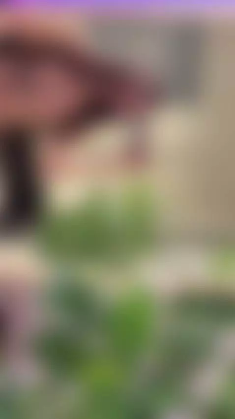 Want my attention? OnlyFans is the way 💞 by shyemilybaby